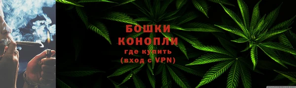 шишки Балабаново