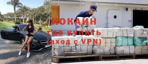 шишки Балабаново