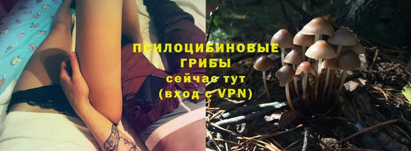 стафф Баксан